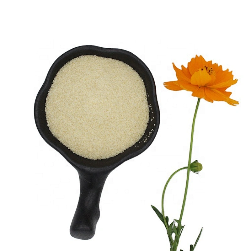 Food Grade Gelatin Bloom Best Quality Edible Gelatin Price